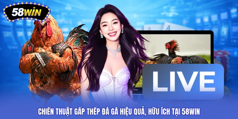 chiến thuật gấp thếp đá gà