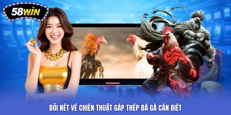 Đôi nét về chiến thuật gấp thếp đá gà cần biết