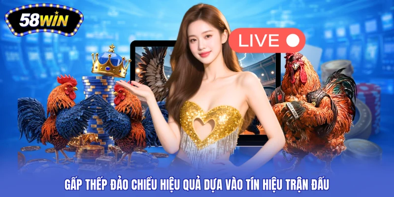 Gấp thếp đảo chiều hiệu quả dựa vào tín hiệu trận đấu