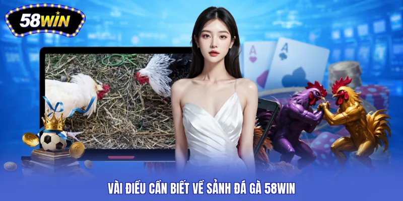 Vài điều cần biết về sảnh đá gà 58WIN